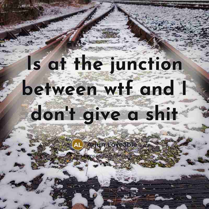 “Is at the junction between wtf and I don't give a shit” quote by Arjun Loveable