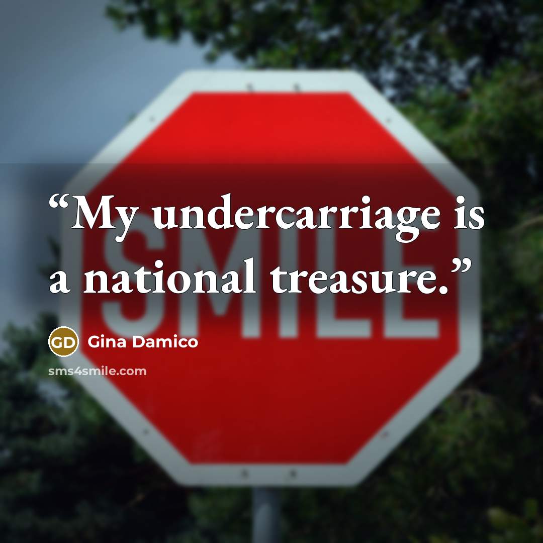 “My undercarriage is a national treasure.” quote by Gina Damico