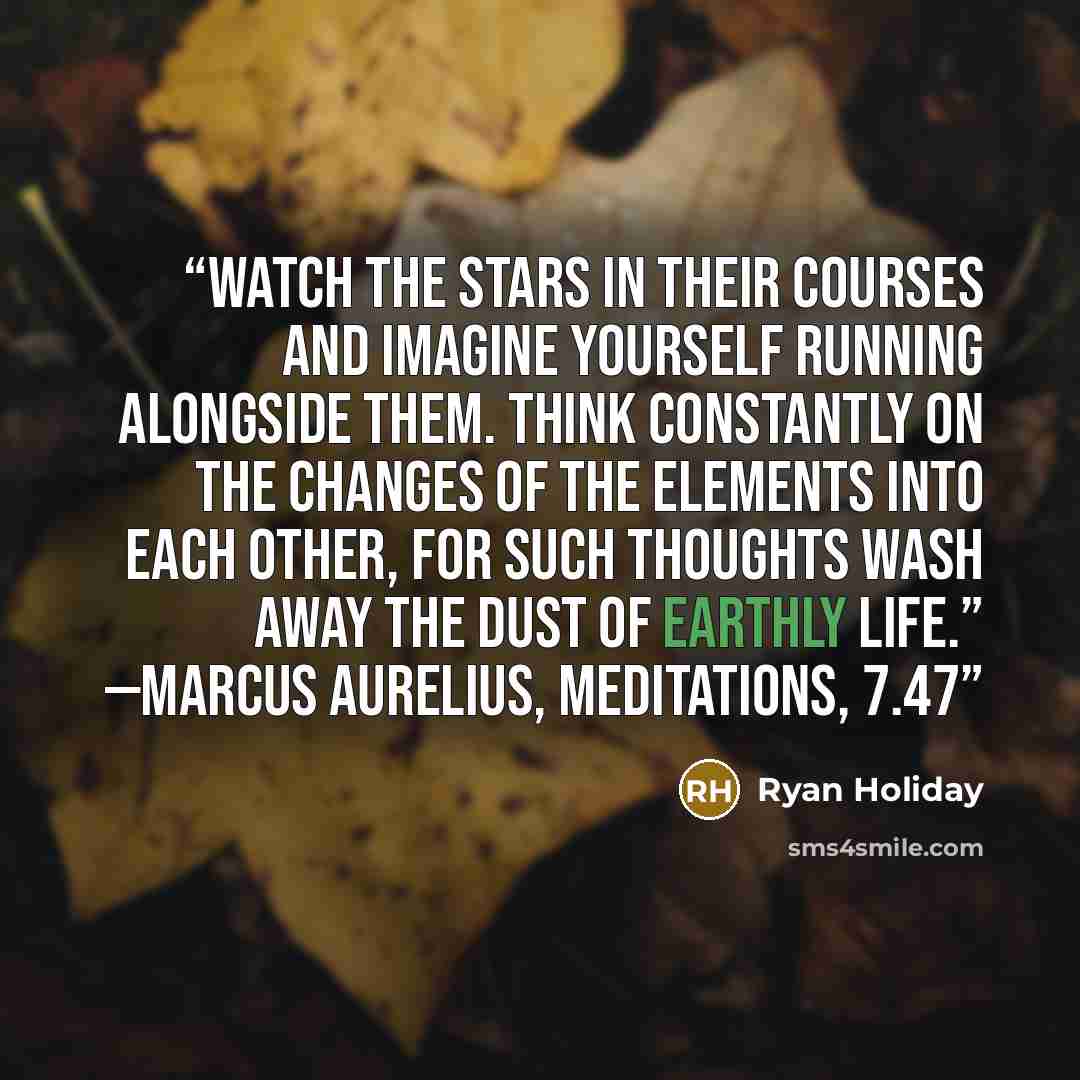 “Watch the stars in their courses and imagine yourself running alongside them. Think constantly on the changes of the elements into each other, for such thoughts wash away the dust of earthly life.” —MARCUS AURELIUS, MEDITATIONS, 7.47” quote by Ryan Holiday