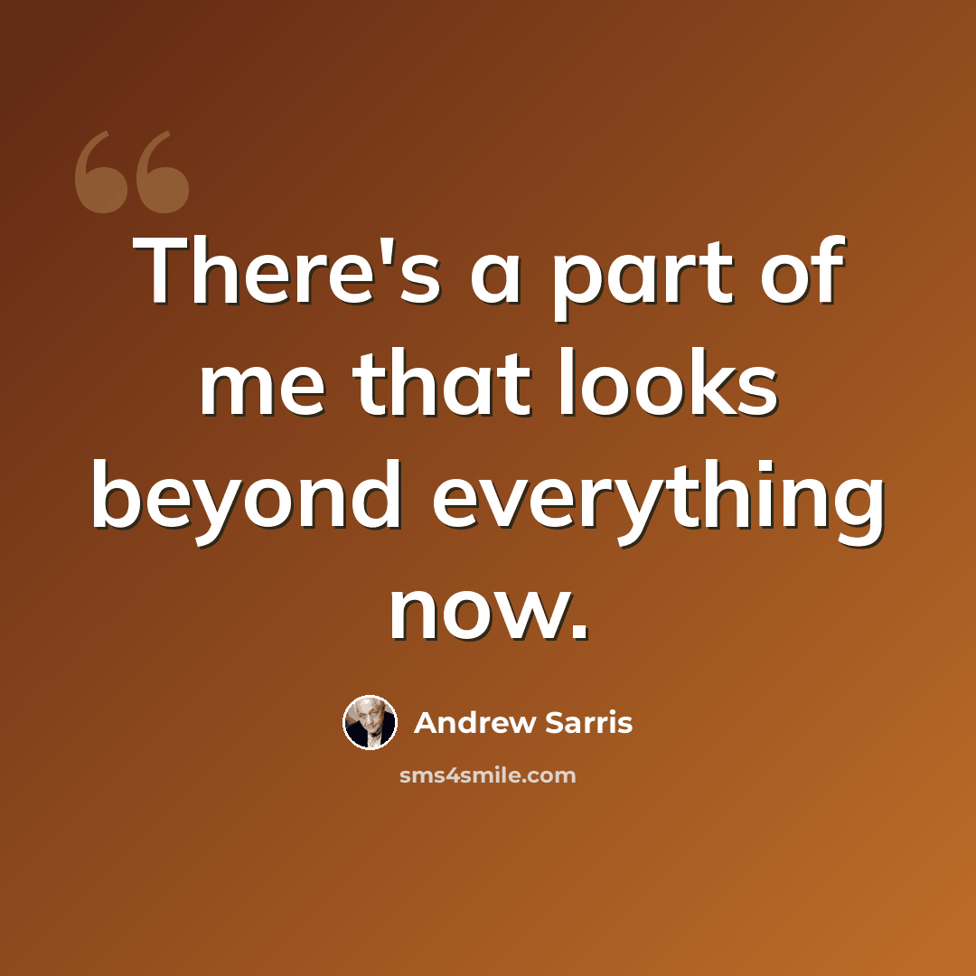 “There's a part of me that looks beyond everything now.” quote by Andrew Sarris
