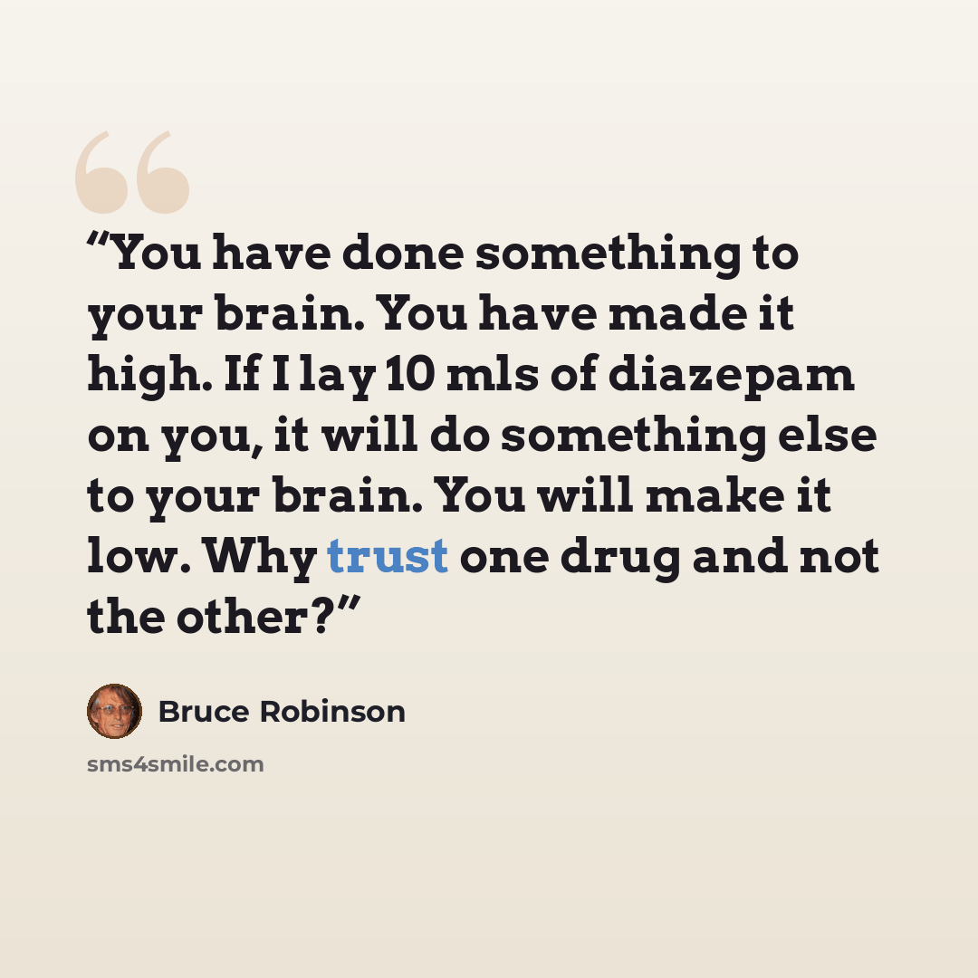 “You have done something to your brain. You have made it high. If I lay 10 mls of diazepam on you, it will do something else to your brain. You will make it low. Why trust one drug and not the other?” quote by Bruce Robinson
