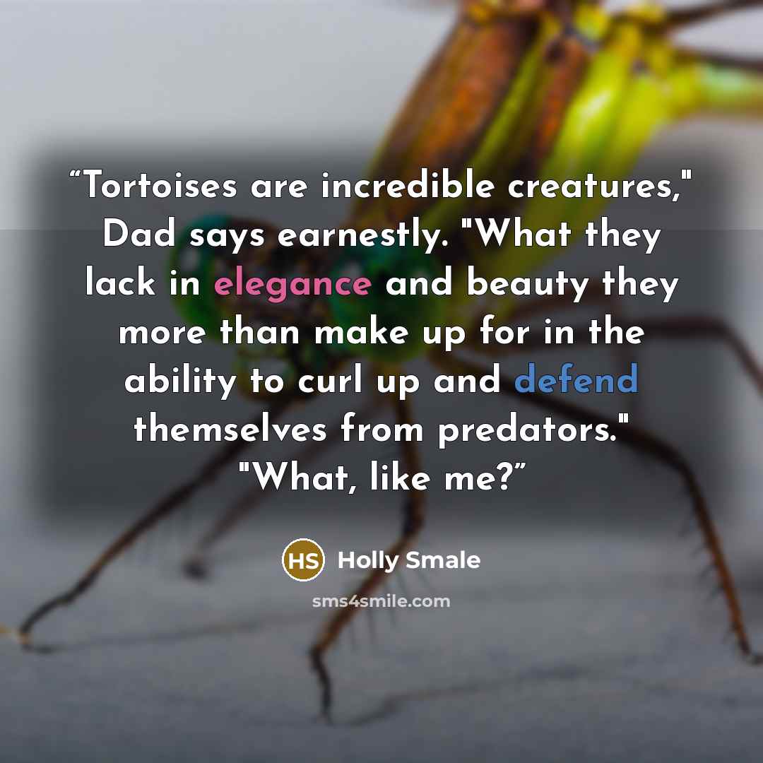 “Tortoises are incredible creatures," Dad says earnestly. "What they lack in elegance and beauty they more than make up for in the ability to curl up and defend themselves from predators." "What, like me?” quote by Holly Smale
