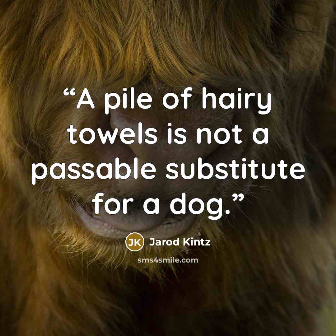 “A pile of hairy towels is not a passable substitute for a dog.” quote by Jarod Kintz