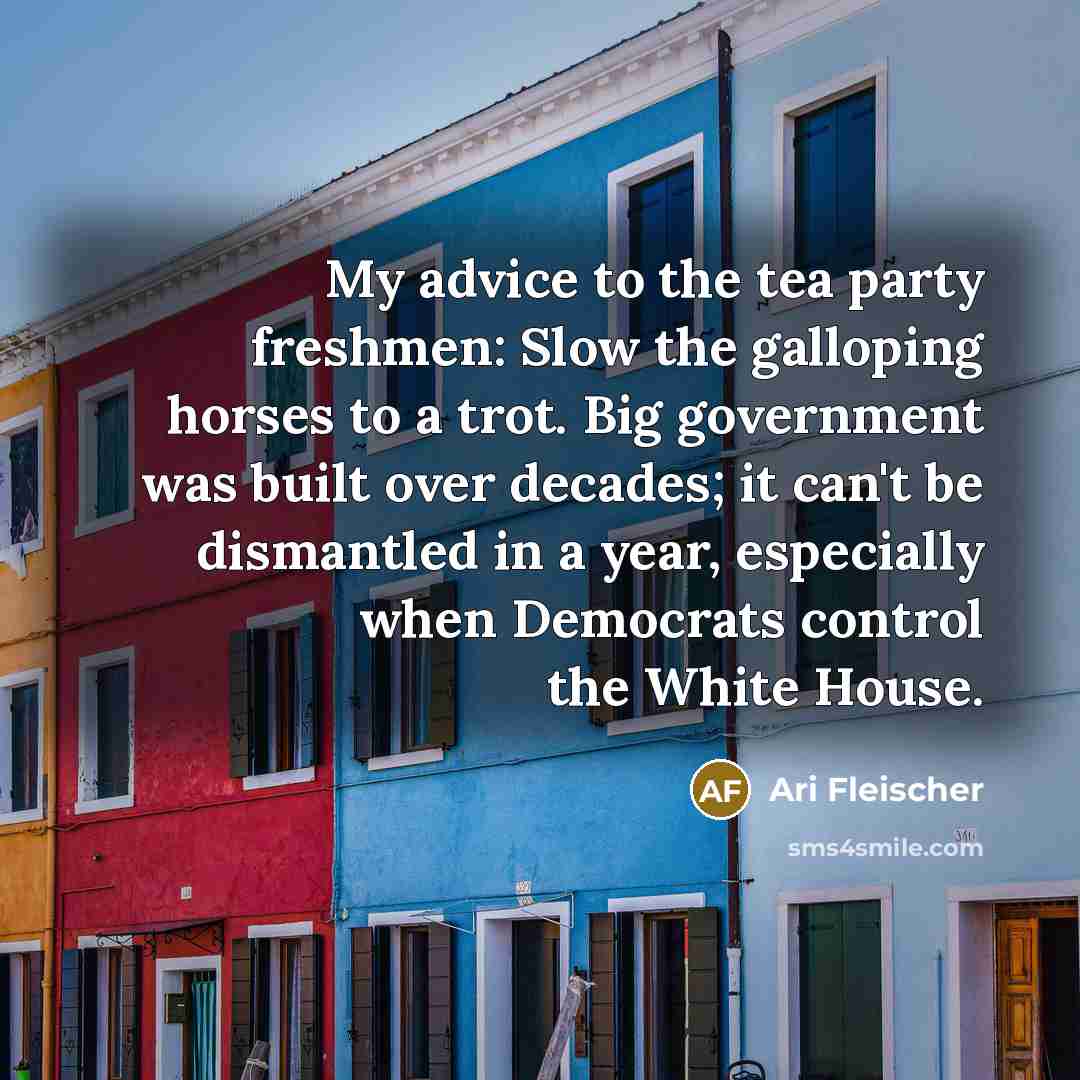 “My advice to the tea party freshmen: Slow the galloping horses to a trot. Big government was built over decades; it can't be dismantled in a year, especially when Democrats control the White House.” quote by Ari Fleischer