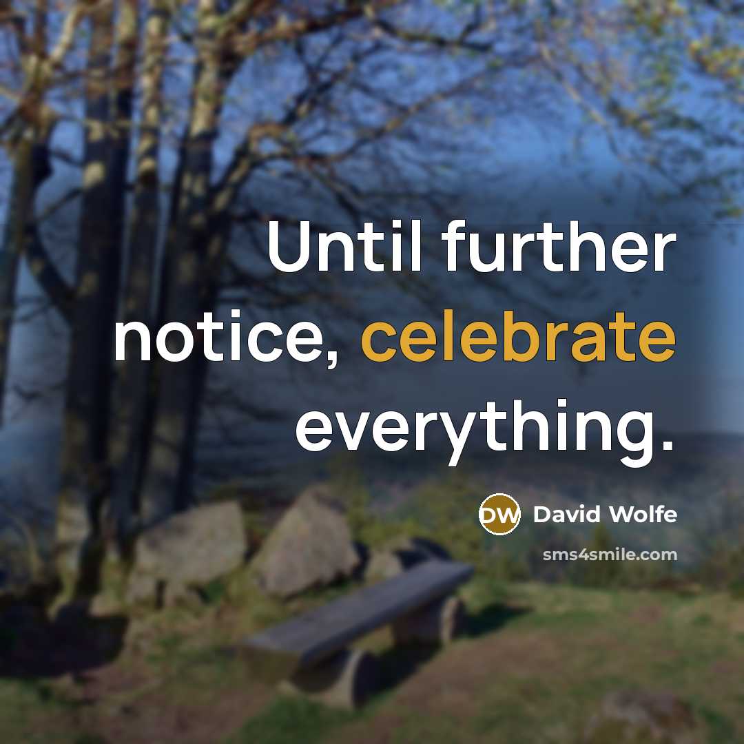 “Until further notice, celebrate everything.” quote by David Wolfe