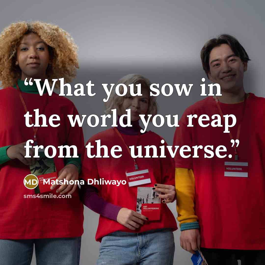 “What you sow in the world you reap from the universe.” quote by Matshona Dhliwayo