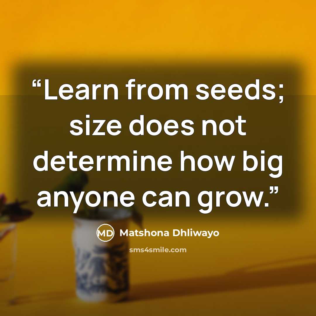 “Learn from seeds; size does not determine how big anyone can grow.” quote by Matshona Dhliwayo