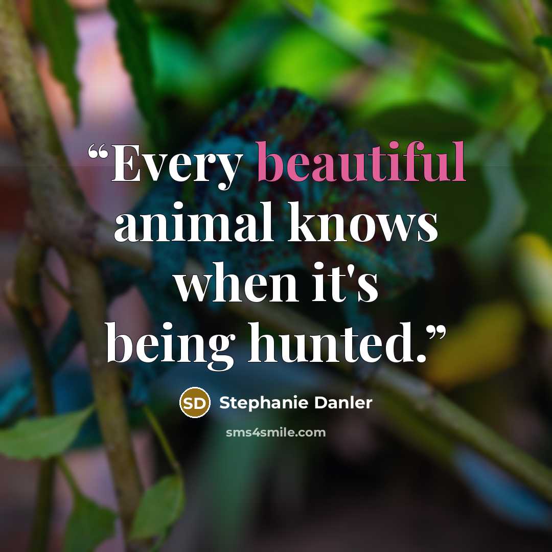 “Every beautiful animal knows when it's being hunted.” quote by Stephanie Danler