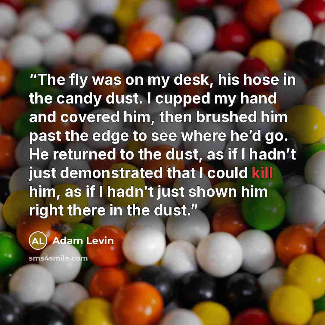 “The fly was on my desk, his hose in the candy dust. I cupped my hand and covered him, then brushed him past the edge to see where he’d go. He returned to the dust, as if I hadn’t just demonstrated that I could kill him, as if I hadn’t just shown him right there in the dust.” quote by Adam Levin