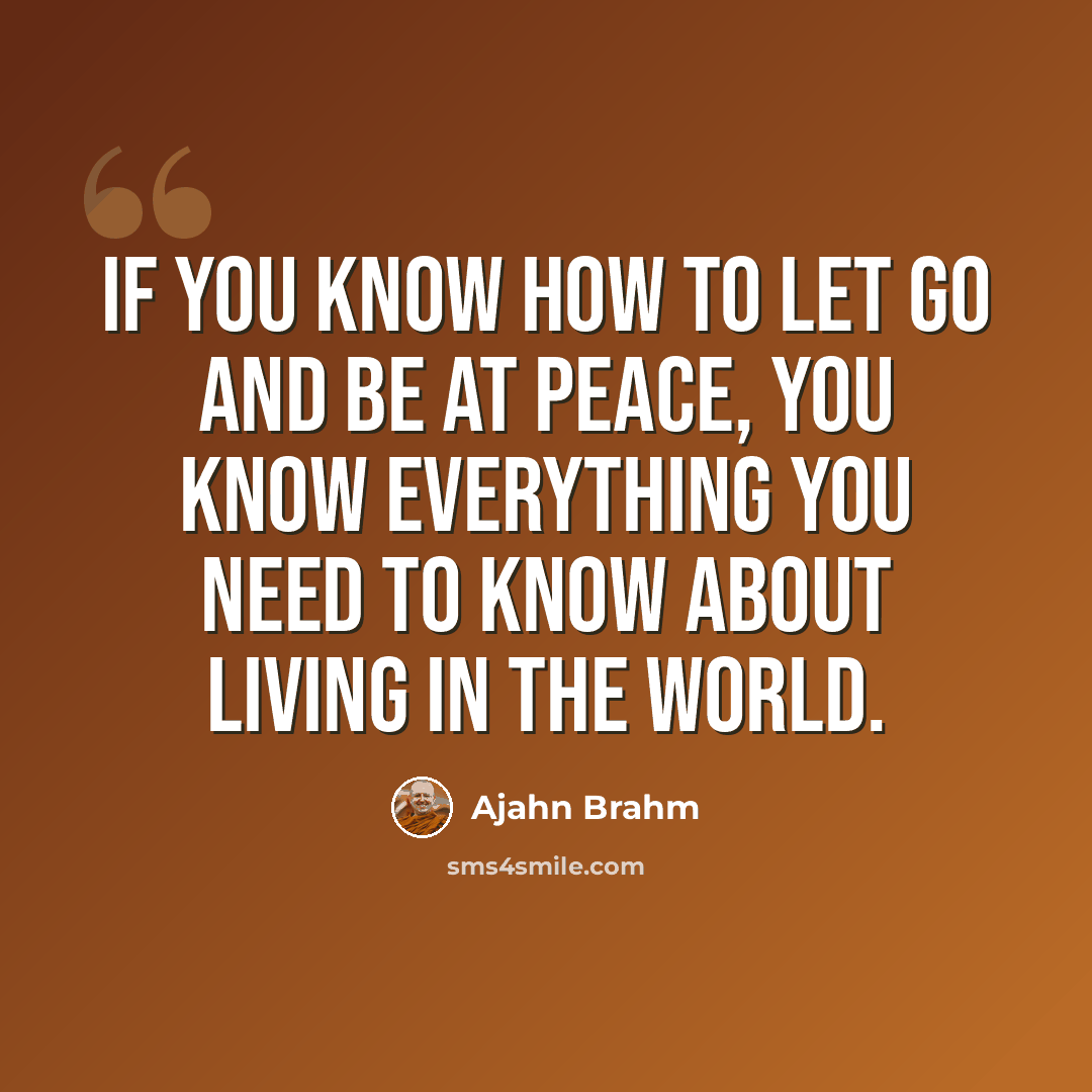 “If you know how to let go and be at peace, you know everything you need to know about living in the world.” quote by Ajahn Brahm