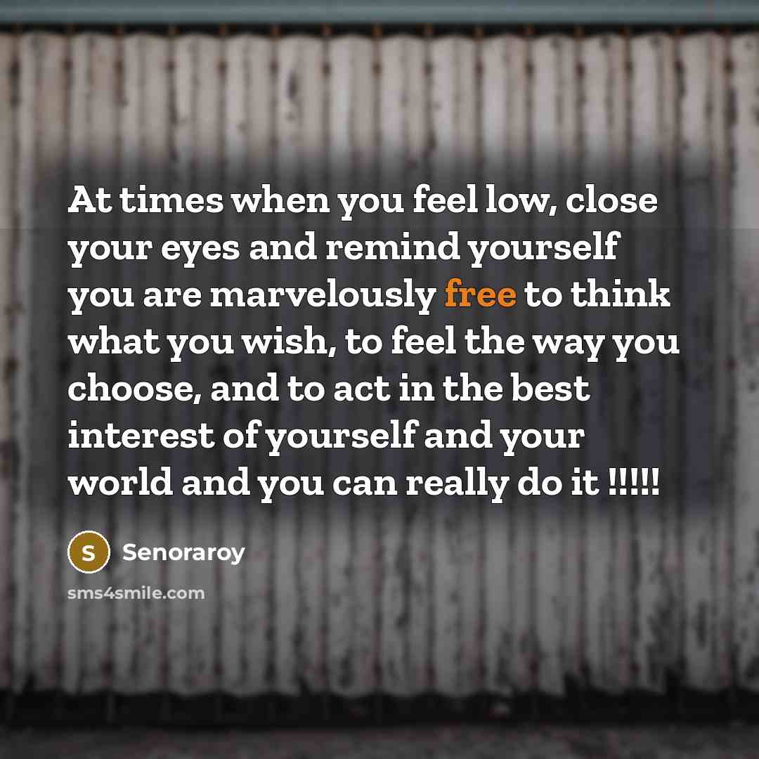 “At times when you feel low, close your eyes and remind yourself you are marvelously free to think what you wish, to feel the way you choose, and to act in the best interest of yourself and your world and you can really do it !!!!!” quote by Senoraroy