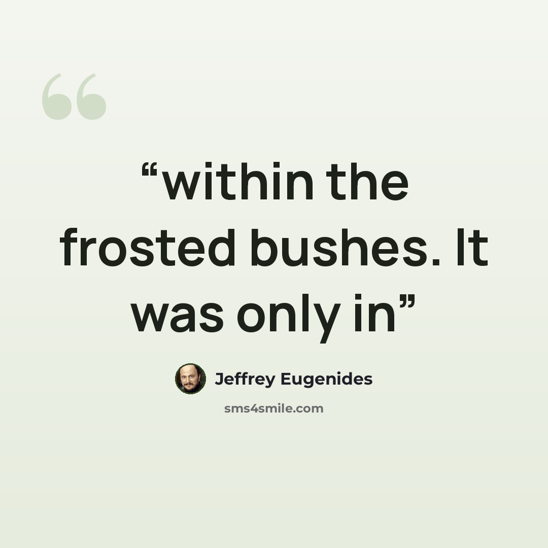 “within the frosted bushes. It was only in” quote by Jeffrey Eugenides