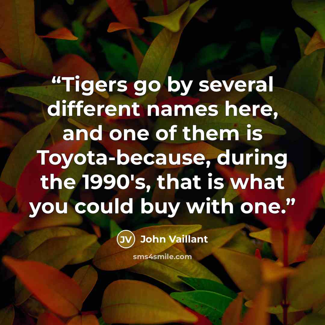 “Tigers go by several different names here, and one of them is Toyota-because, during the 1990's, that is what you could buy with one.” quote by John Vaillant