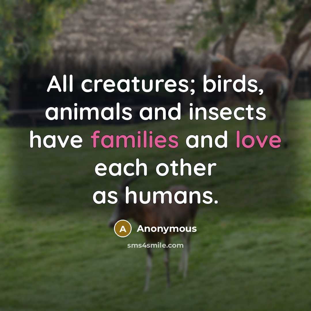 “All creatures; birds, animals and insects have families and love each other as humans.” quote by Anonymous