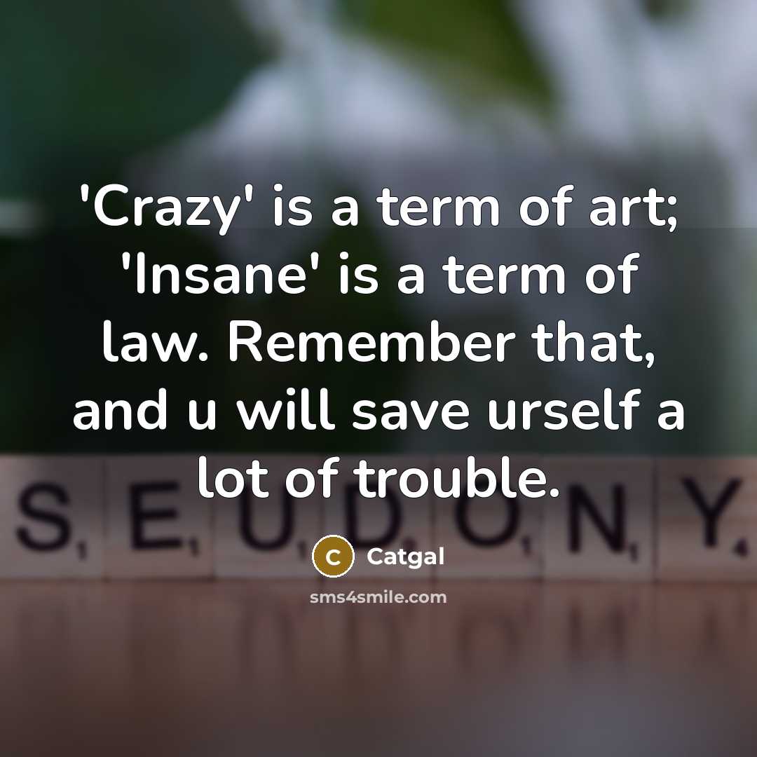 “'Crazy' is a term of art; 'Insane' is a term of law. Remember that, and u will save urself a lot of trouble.” quote by Catgal