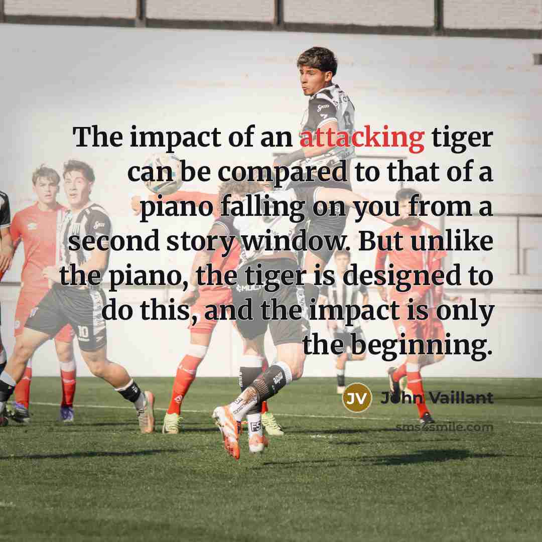“The impact of an attacking tiger can be compared to that of a piano falling on you from a second story window. But unlike the piano, the tiger is designed to do this, and the impact is only the beginning.” quote by John Vaillant