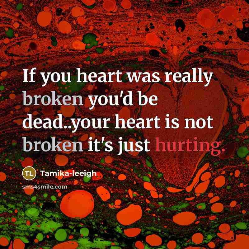 “If you heart was really broken you'd be dead..your heart is not broken it's just hurting.” quote by Tamika-leeigh