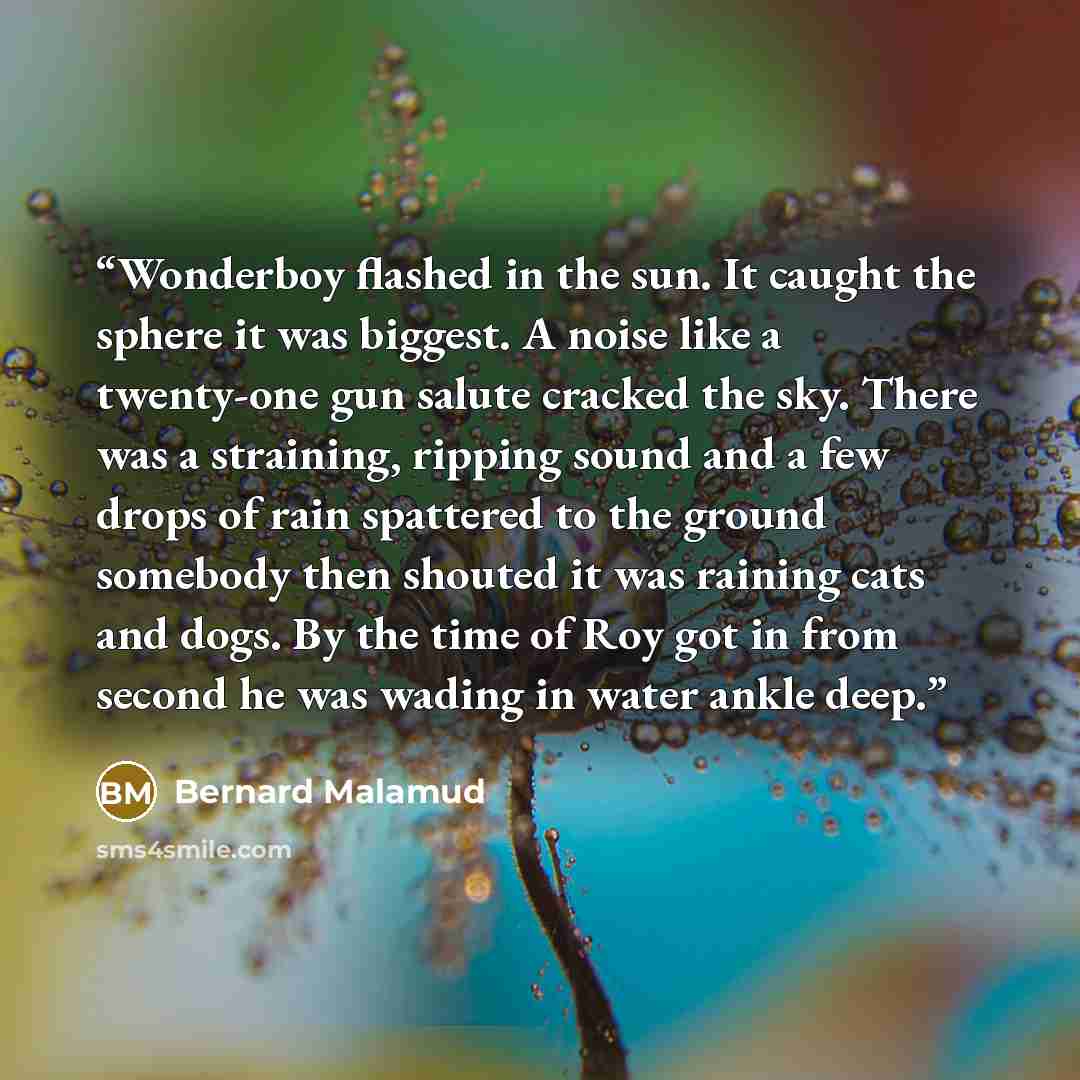 “Wonderboy flashed in the sun. It caught the sphere it was biggest. A noise like a twenty-one gun salute cracked the sky. There was a straining, ripping sound and a few drops of rain spattered to the ground somebody then shouted it was raining cats and dogs. By the time of Roy got in from second he…” quote by Bernard Malamud