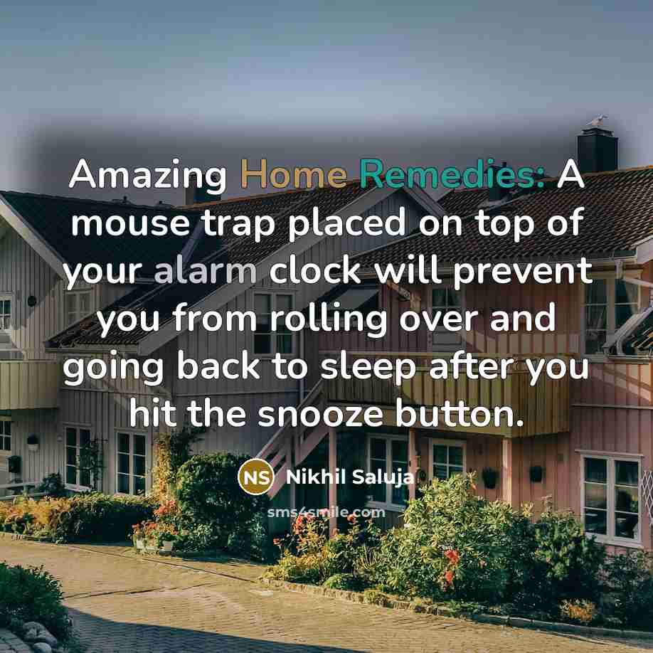“Amazing Home Remedies: A mouse trap placed on top of your alarm clock will prevent you from rolling over and going back to sleep after you hit the snooze button.” quote by Nikhil Saluja