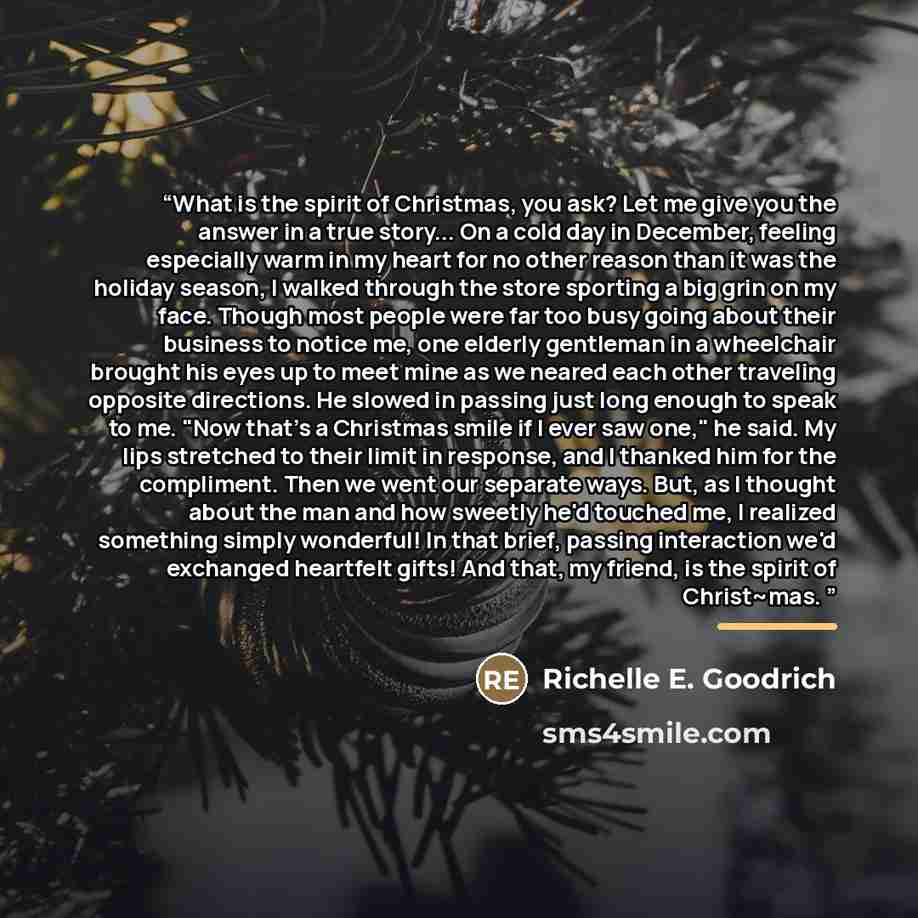 “What is the spirit of Christmas, you ask? Let me give you the answer in a true story... On a cold day in December, feeling especially warm in my heart for no other reason than it was the holiday season, I walked through the store sporting a big grin on my face. Though most people were far too busy…” quote by Richelle E. Goodrich