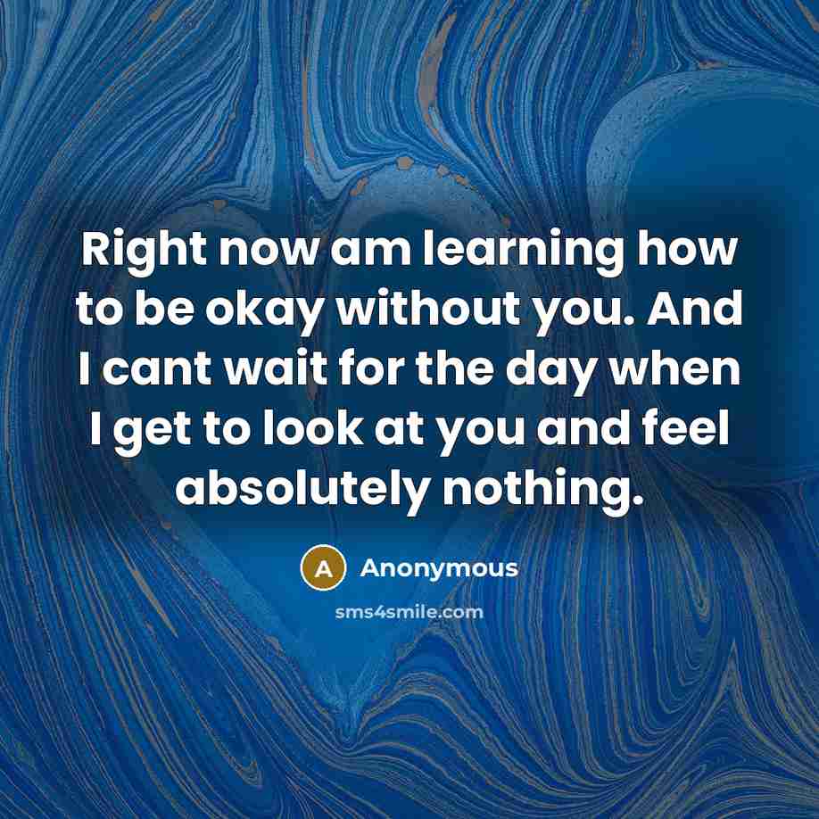 “Right now am learning how to be okay without you. And I cant wait for the day when I get to look at you and feel absolutely nothing.” quote by Anonymous