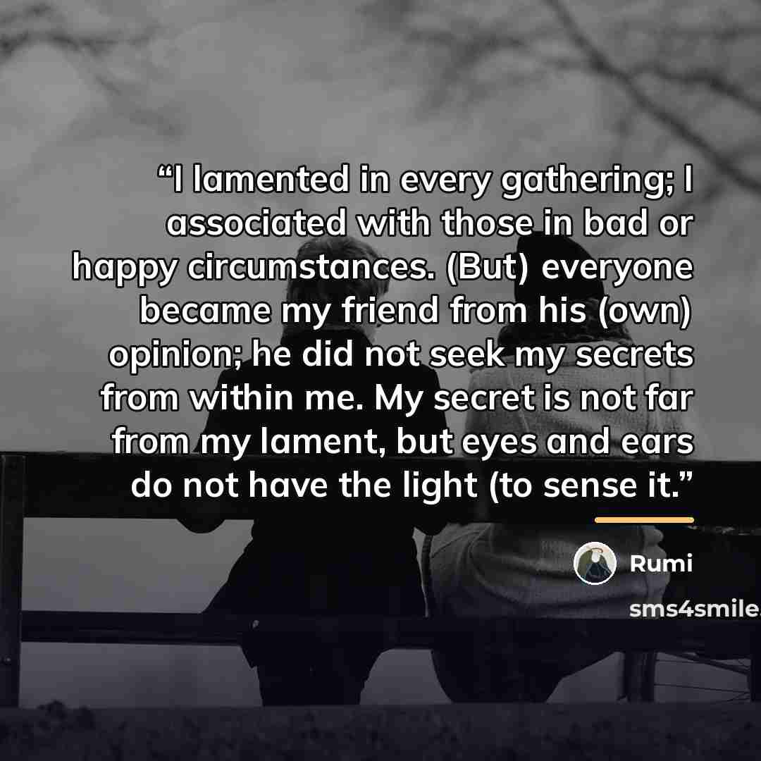 “I lamented in every gathering; I associated with those in bad or happy circumstances. (But) everyone became my friend from his (own) opinion; he did not seek my secrets from within me. My secret is not far from my lament, but eyes and ears do not have the light (to sense it.” quote by Rumi