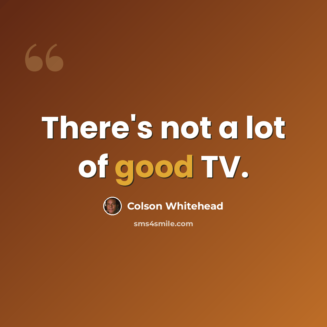 “There's not a lot of good TV.” quote by Colson Whitehead