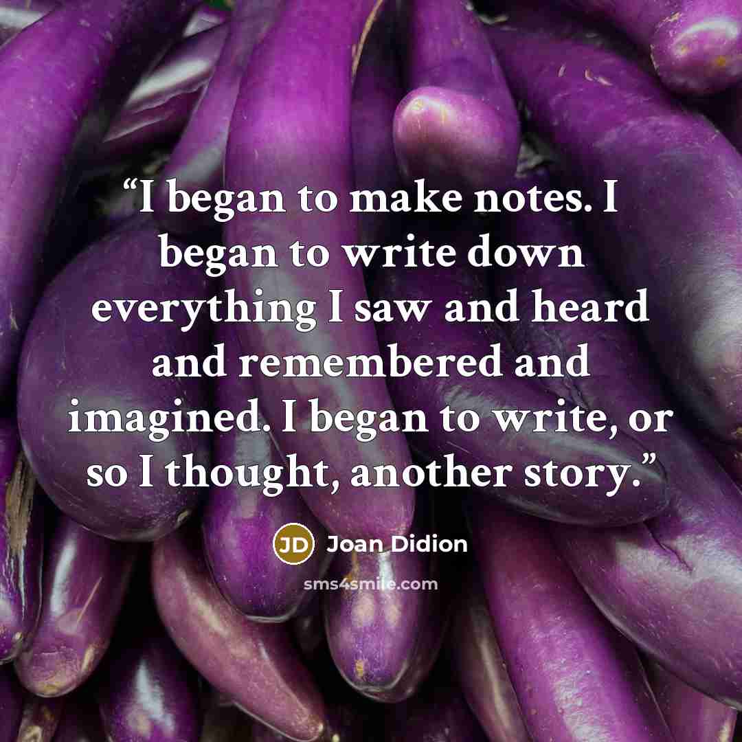 “I began to make notes. I began to write down everything I saw and heard and remembered and imagined. I began to write, or so I thought, another story.” quote by Joan Didion