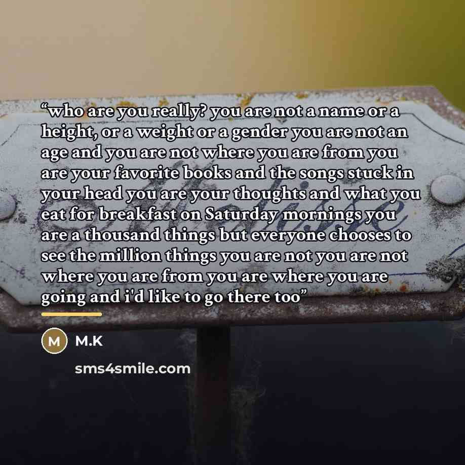 “who are you really? you are not a name or a height, or a weight or a gender you are not an age and you are not where you are from you are your favorite books and the songs stuck in your head you are your thoughts and what you eat for breakfast on Saturday mornings you are a thousand things but…” quote by m.k
