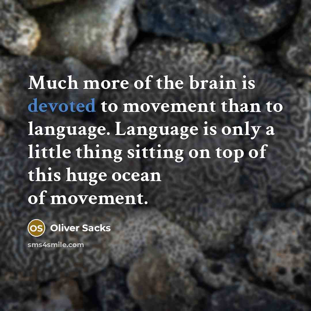 “Much more of the brain is devoted to movement than to language. Language is only a little thing sitting on top of this huge ocean of movement.” quote by Oliver Sacks