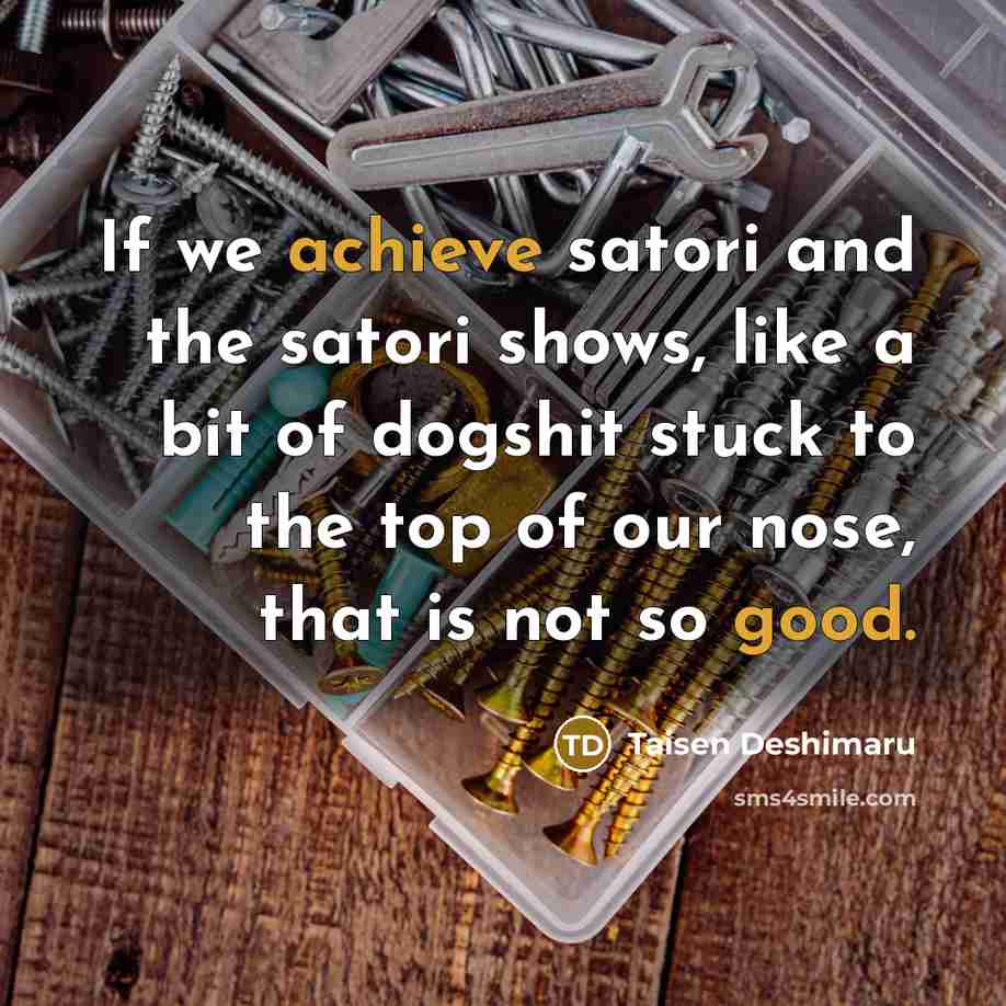 “If we achieve satori and the satori shows, like a bit of dogshit stuck to the top of our nose, that is not so good.” quote by Taisen Deshimaru