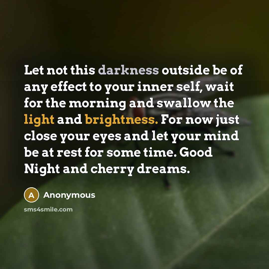 “Let not this darkness outside be of any effect to your inner self, wait for the morning and swallow the light and brightness. For now just close your eyes and let your mind be at rest for some time. Good Night and cherry dreams.” quote by Anonymous
