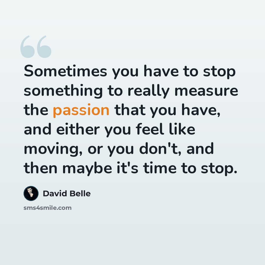 “Sometimes you have to stop something to really measure the passion that you have, and either you feel like moving, or you don't, and then maybe it's time to stop.” quote by David Belle