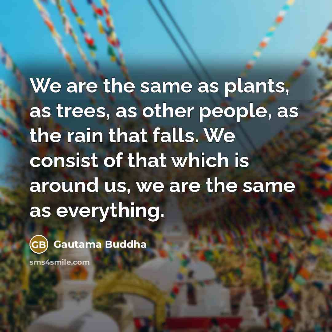 “We are the same as plants, as trees, as other people, as the rain that falls. We consist of that which is around us, we are the same as everything.” quote by Gautama Buddha