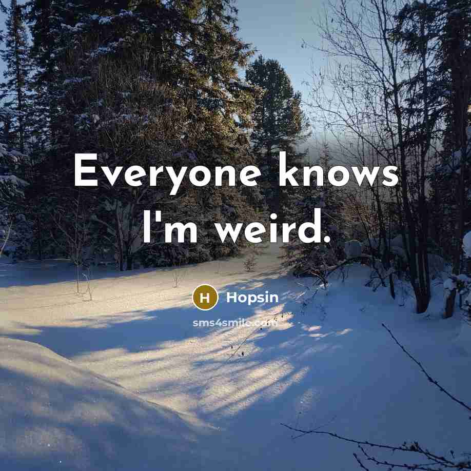 “Everyone knows I'm weird.” quote by Hopsin
