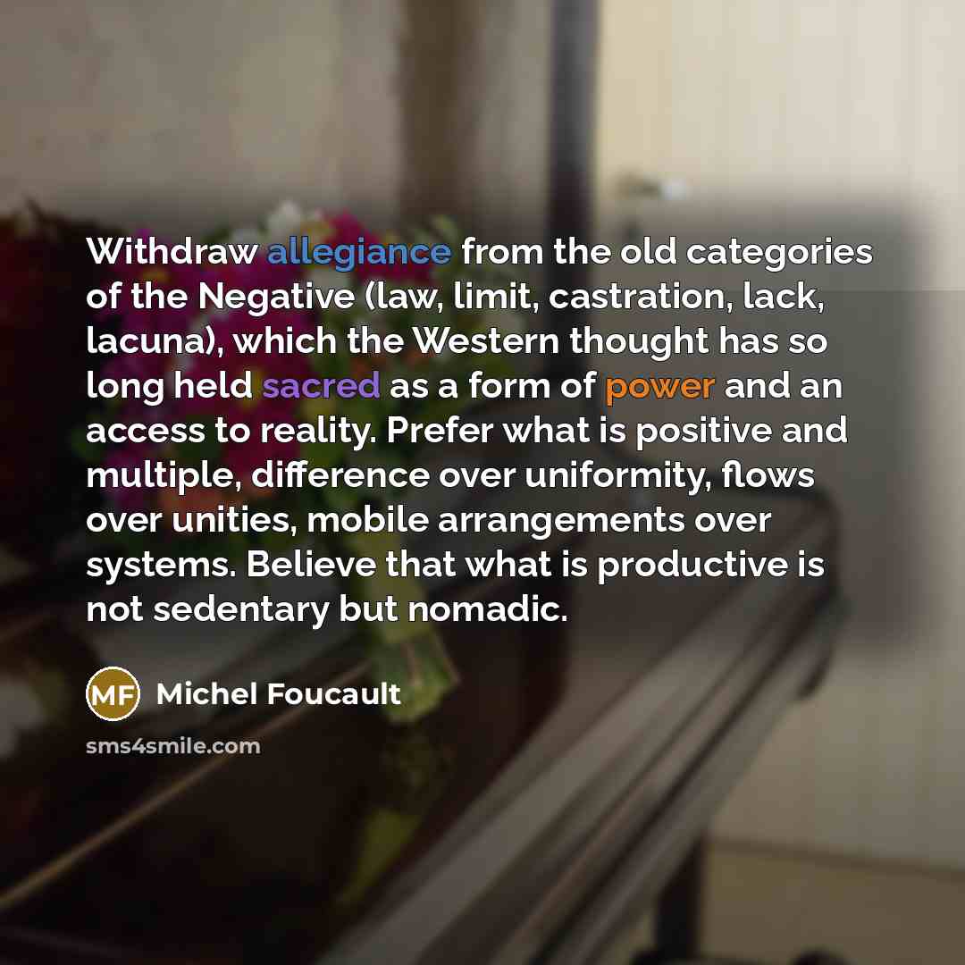 “Withdraw allegiance from the old categories of the Negative (law, limit, castration, lack, lacuna), which the Western thought has so long held sacred as a form of power and an access to reality. Prefer what is positive and multiple, difference over uniformity, flows over unities, mobile…” quote by Michel Foucault