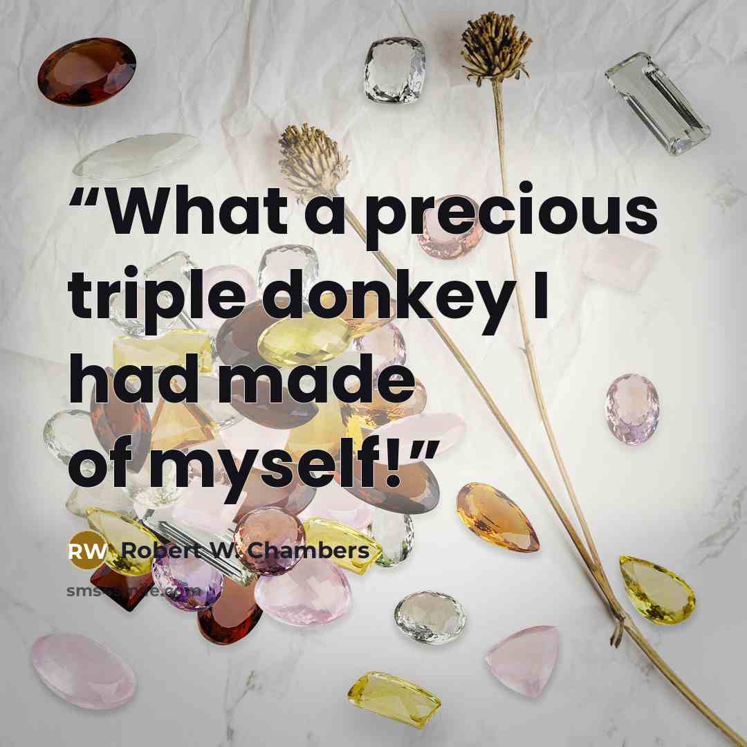 “What a precious triple donkey I had made of myself!” quote by Robert W. Chambers