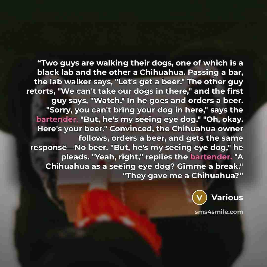 “Two guys are walking their dogs, one of which is a black lab and the other a Chihuahua. Passing a bar, the lab walker says, "Let's get a beer." The other guy retorts, "We can't take our dogs in there," and the first guy says, "Watch." In he goes and orders a beer. "Sorry, you can't bring your dog…” quote by Various
