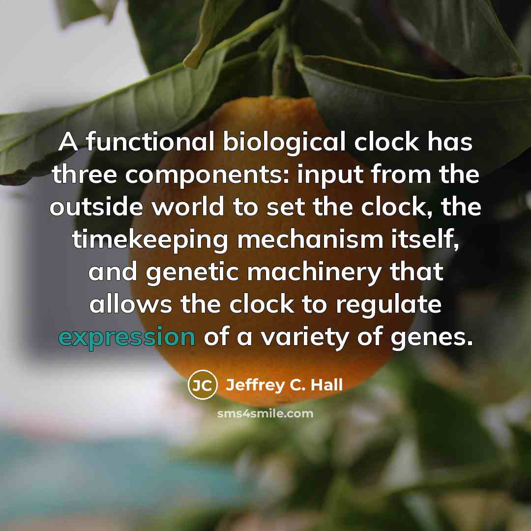 “A functional biological clock has three components: input from the outside world to set the clock, the timekeeping mechanism itself, and genetic machinery that allows the clock to regulate expression of a variety of genes.” quote by Jeffrey C. Hall