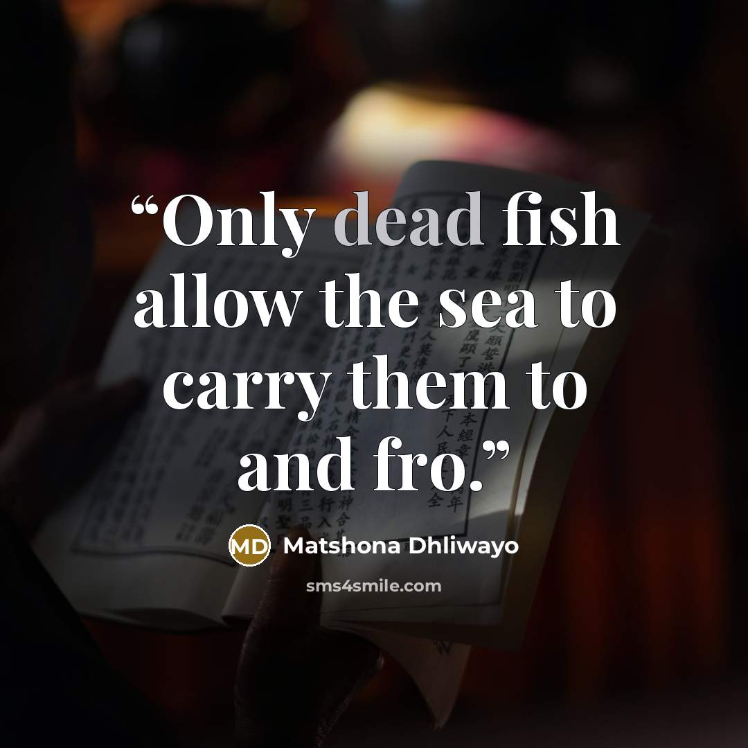 “Only dead fish allow the sea to carry them to and fro.” quote by Matshona Dhliwayo