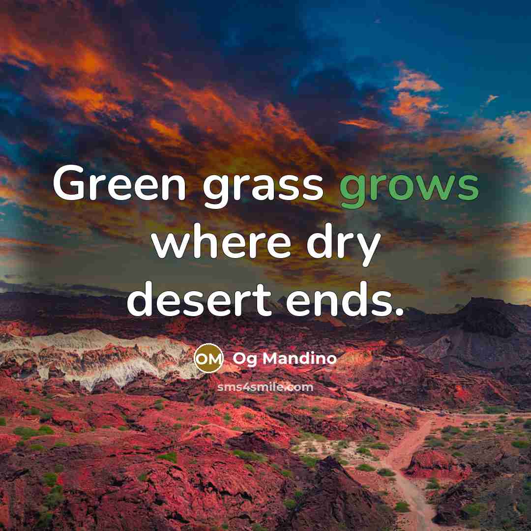 “Green grass grows where dry desert ends.” quote by Og Mandino