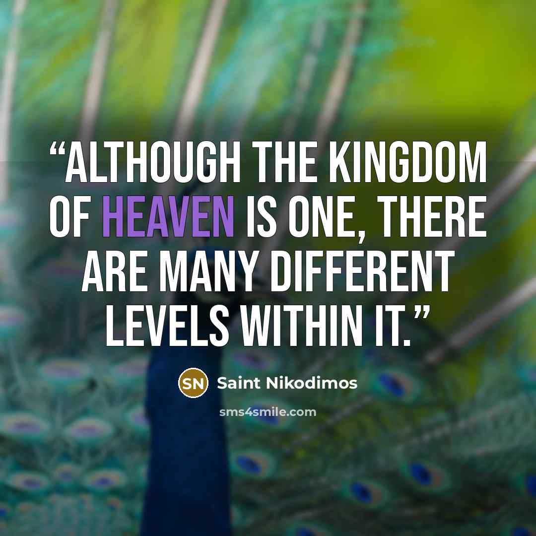 “although the kingdom of heaven is one, there are many different levels within it.” quote by Saint Nikodimos