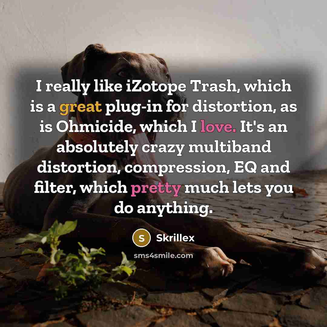“I really like iZotope Trash, which is a great plug-in for distortion, as is Ohmicide, which I love. It's an absolutely crazy multiband distortion, compression, EQ and filter, which pretty much lets you do anything.” quote by Skrillex