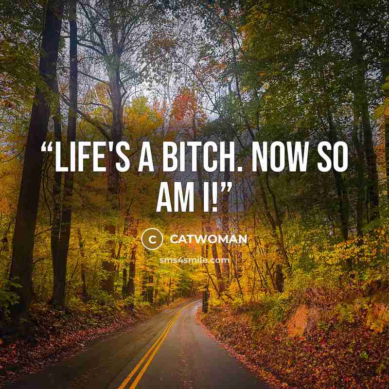 “Life's a bitch. Now so am I!” quote by Catwoman