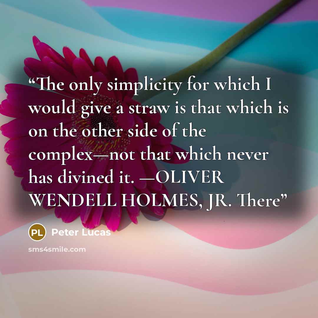 “The only simplicity for which I would give a straw is that which is on the other side of the complex—not that which never has divined it. —OLIVER WENDELL HOLMES, JR. There” quote by Peter Lucas