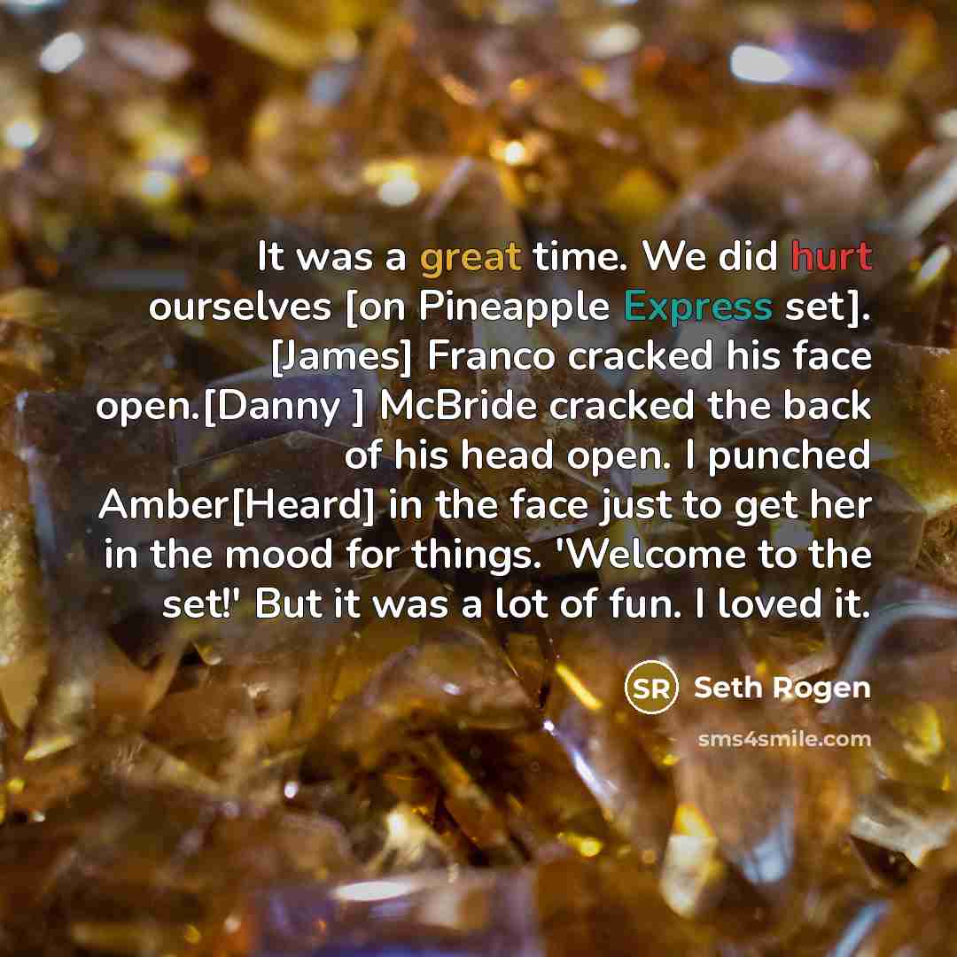 “It was a great time. We did hurt ourselves [on Pineapple Express set]. [James] Franco cracked his face open.[Danny ] McBride cracked the back of his head open. I punched Amber[Heard] in the face just to get her in the mood for things. 'Welcome to the set!' But it was a lot of fun. I loved it.” quote by Seth Rogen