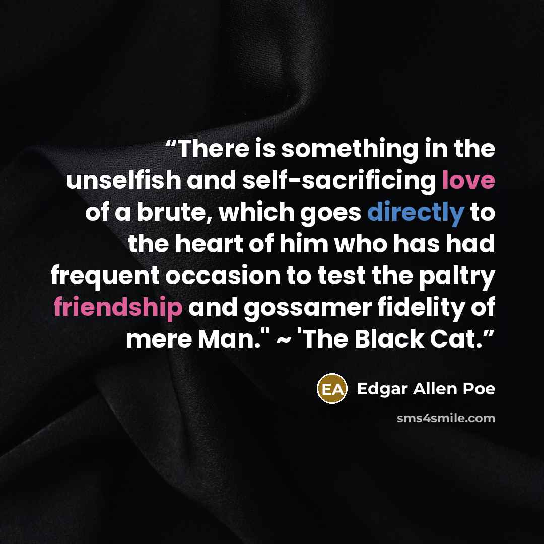 “There is something in the unselfish and self-sacrificing love of a brute, which goes directly to the heart of him who has had frequent occasion to test the paltry friendship and gossamer fidelity of mere Man." ~ 'The Black Cat.” quote by Edgar Allen Poe