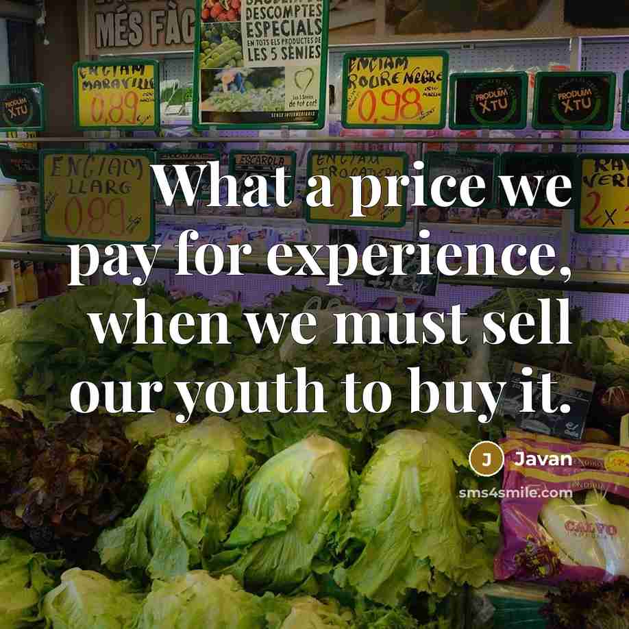 “What a price we pay for experience, when we must sell our youth to buy it.” quote by Javan