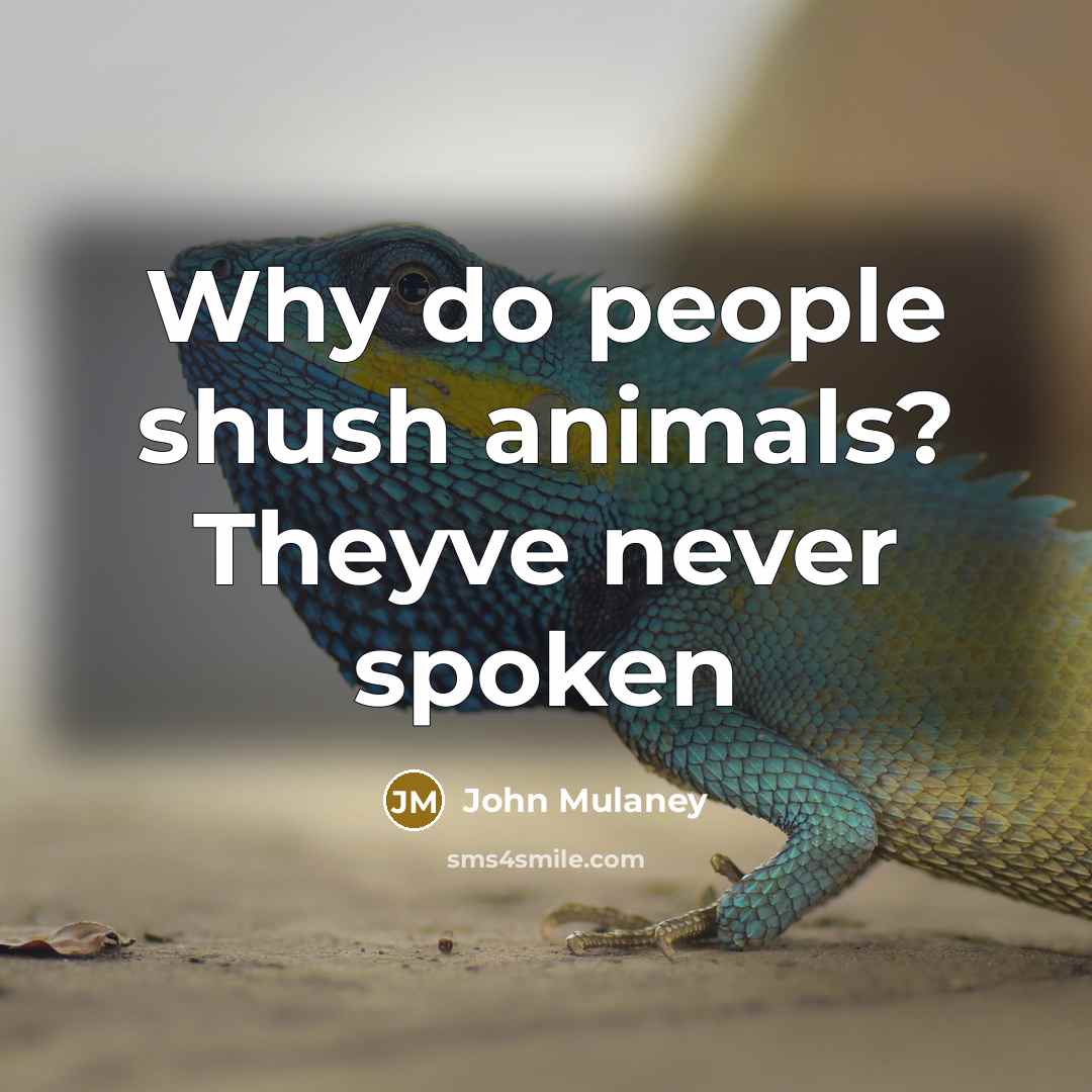 “Why do people shush animals? Theyve never spoken” quote by John Mulaney