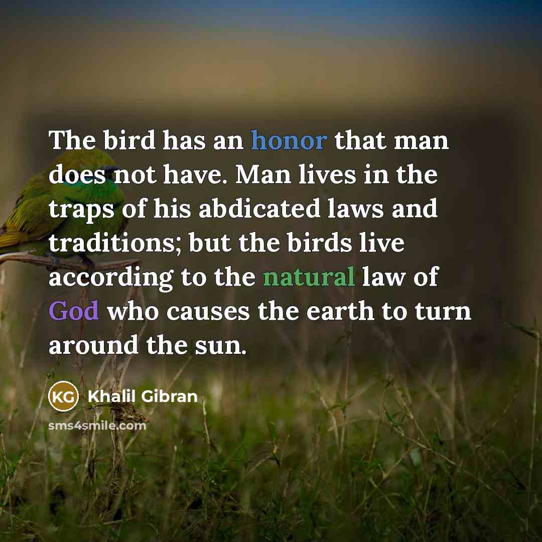 “The bird has an honor that man does not have. Man lives in the traps of his abdicated laws and traditions; but the birds live according to the natural law of God who causes the earth to turn around the sun.” quote by Khalil Gibran